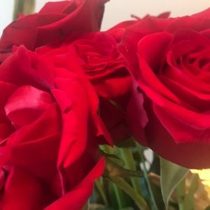 Meet your Posher, Sheri